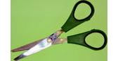 2785 Worm Scissors