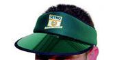 VIS Visor