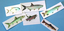 Rod Decals / Stickers