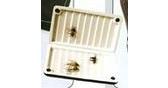 SF24 Fly Box - Black