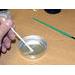 Foil Epoxy Mixing Dishes