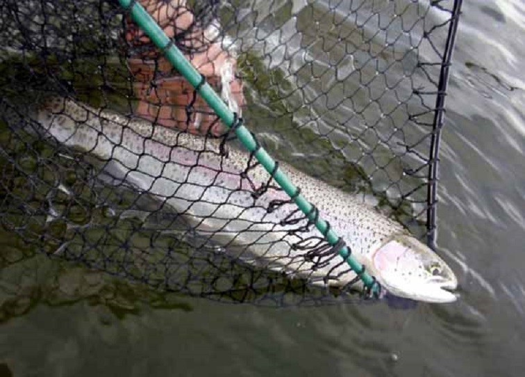 April competition enteries main image #11