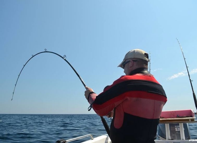 Aaron with a fight on 