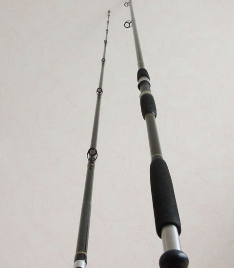 July Competition Entries main image #2