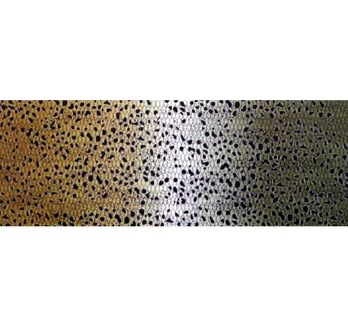 ROD SKINZ: bande décorative motif - truite (poisson)