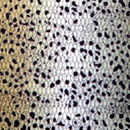 Vara SKINZ trucha de Brown