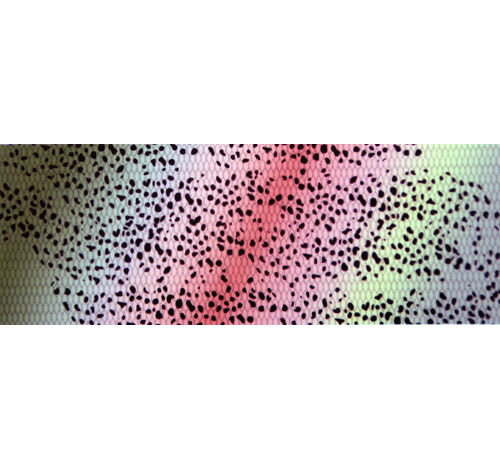 Vara SKINZ trucha arco iris