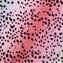 Vara SKINZ trucha arco iris