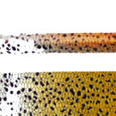 brown trout on a rod