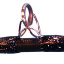 Glitter on rod whipping