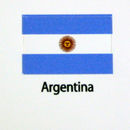 Argentina Flag decal 3 pack
