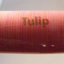 Fishhawk fil en nylon varié/panaché - Tulip (tulipe)