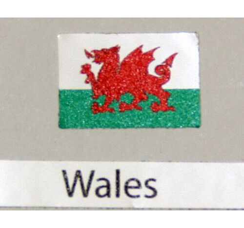 Wales Flag small 8mm x 5mm 6 pack