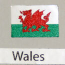 Wales Flag small 8mm x 5mm 6 pack