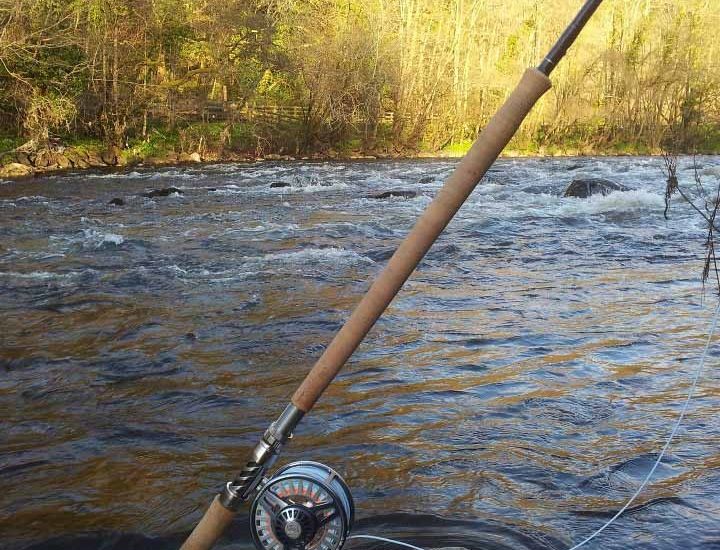 April competition enteries main image #2